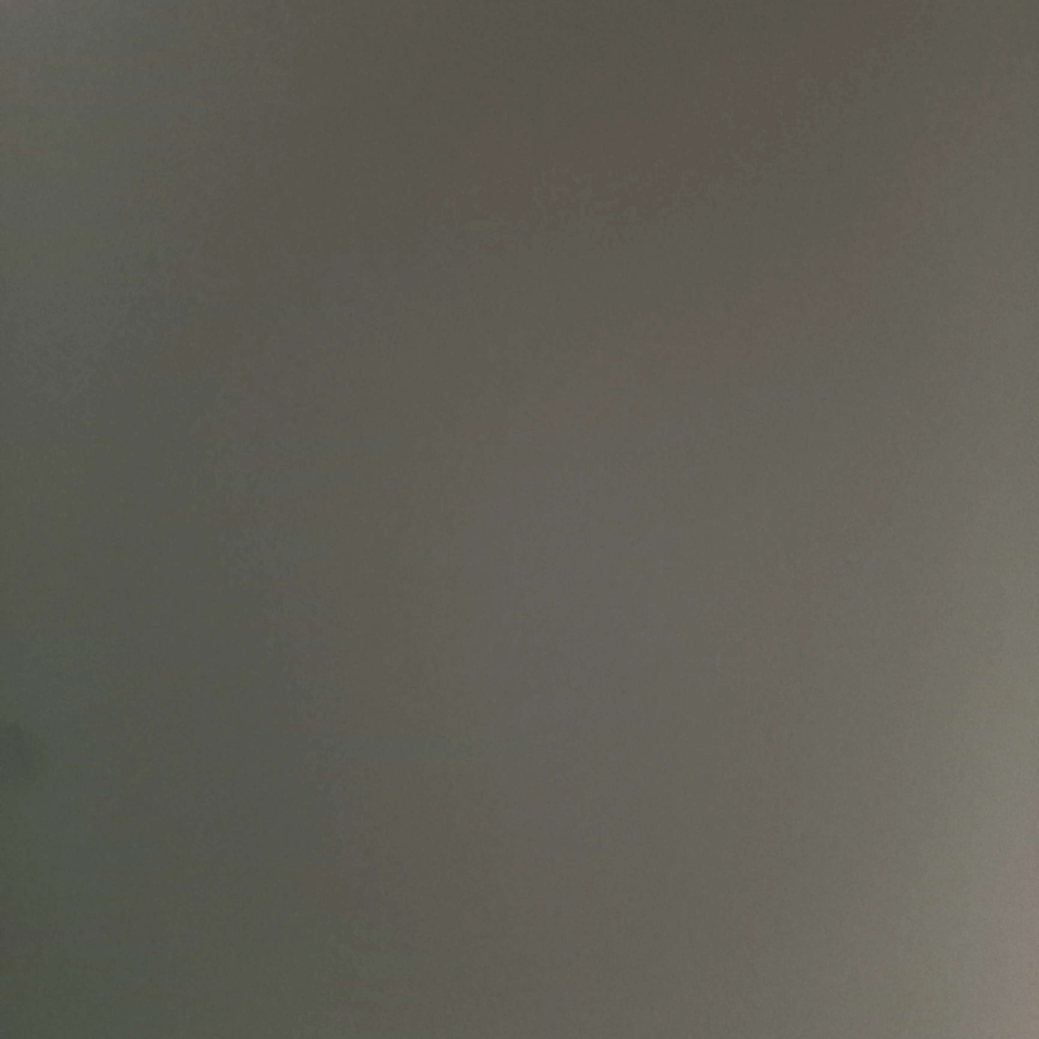 7732551562312191_happy의 엔믹스 가족 금쪽이