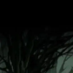 Profile image of コサンス