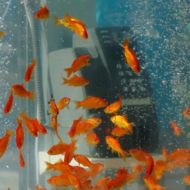 Profile image of 박영환