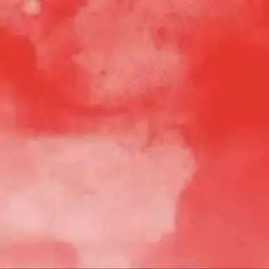 Profile image of 伊沢