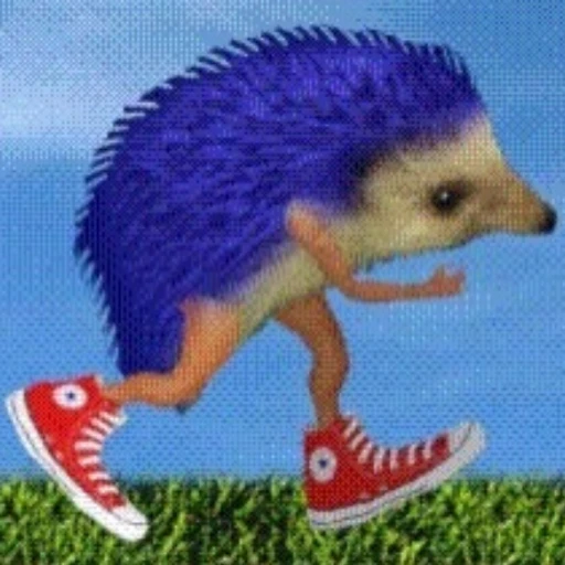 김에스더