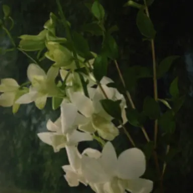 Profile image of 운터