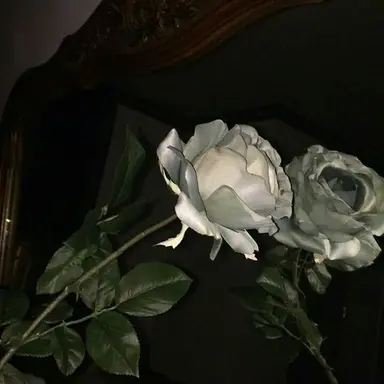 Profile image of 꾸몽