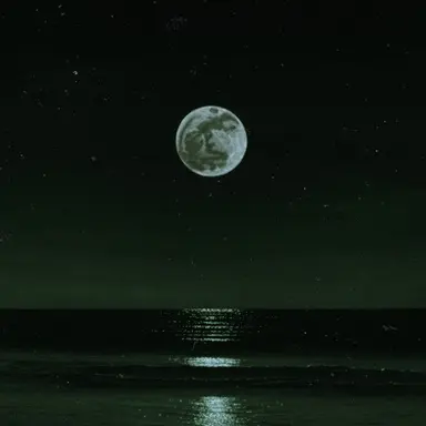 Profile image of 공룡