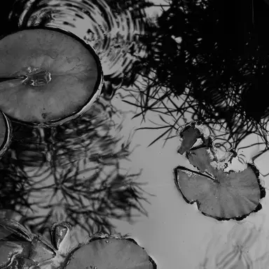 Profile image of 산하