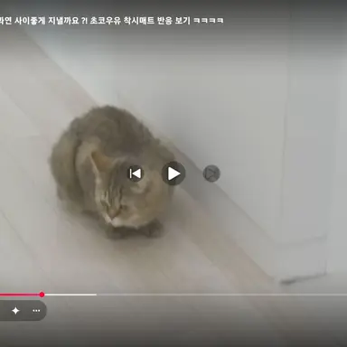 Profile image of 초코