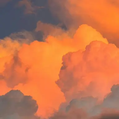 Profile image of 덕개