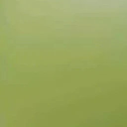 최연우