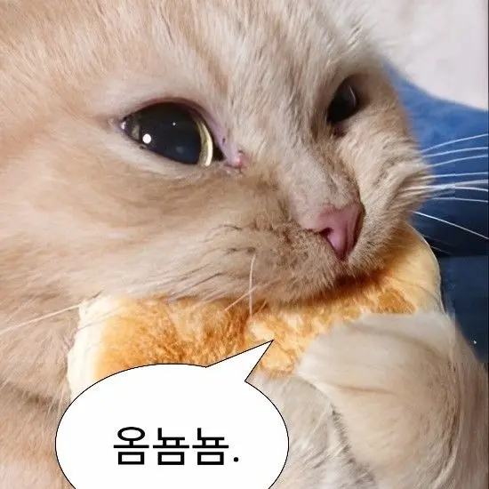 LateFatty2977의 고고프렌즈+여우놈~^^