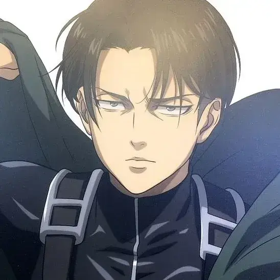 LovelyDaug3154의 Levi Ackerman