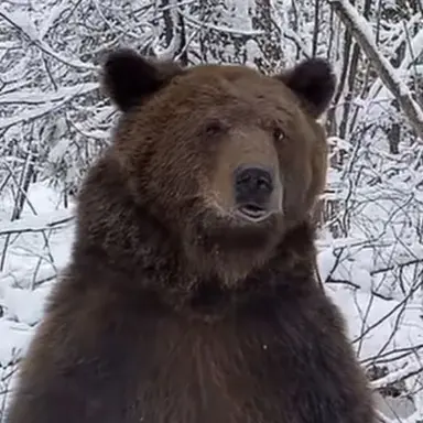 Profile image of Masha