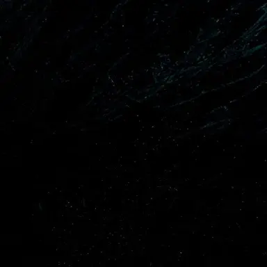 Profile image of 目黒蓮