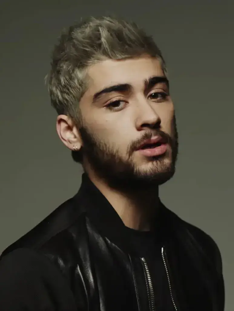 uz1-88의 Zayn Malik