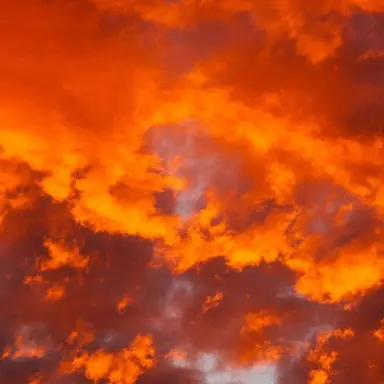 Profile image of 코마