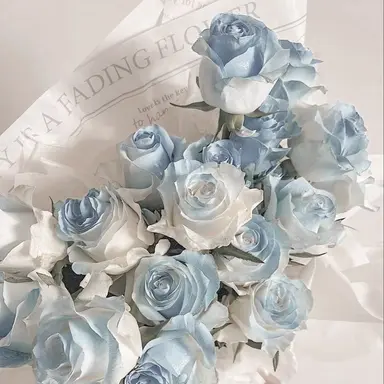 Profile image of 파이브