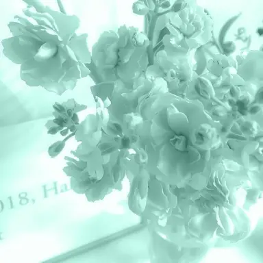 Profile image of 예엥