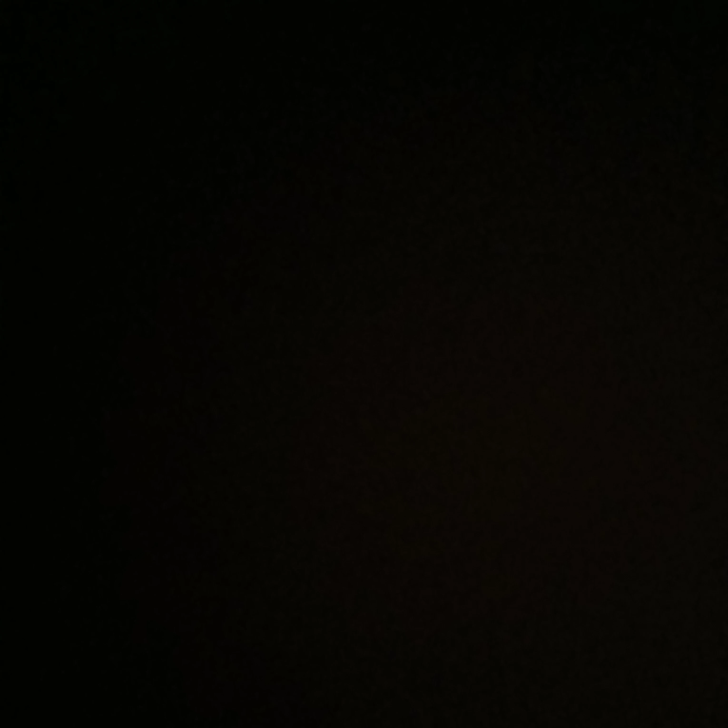 제하하하하