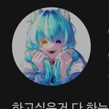 Profile image of 료미