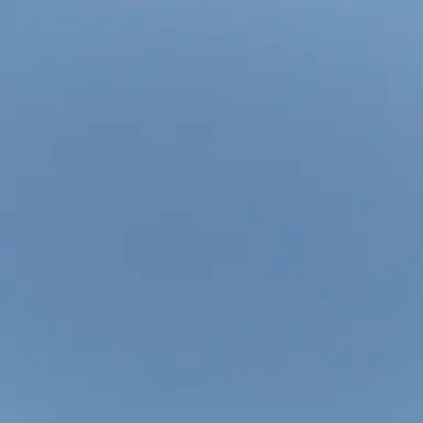 Profile image of ミコト