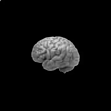 Profile image of Dohyun