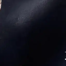 Profile image of 目黒蓮