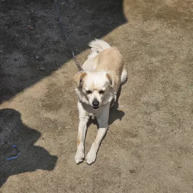 Profile image of 방찬