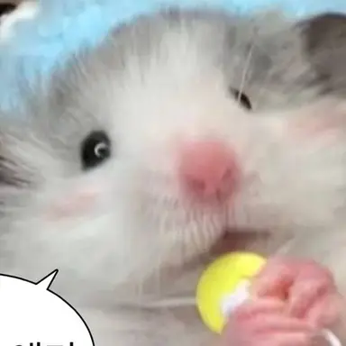 Profile image of 여우