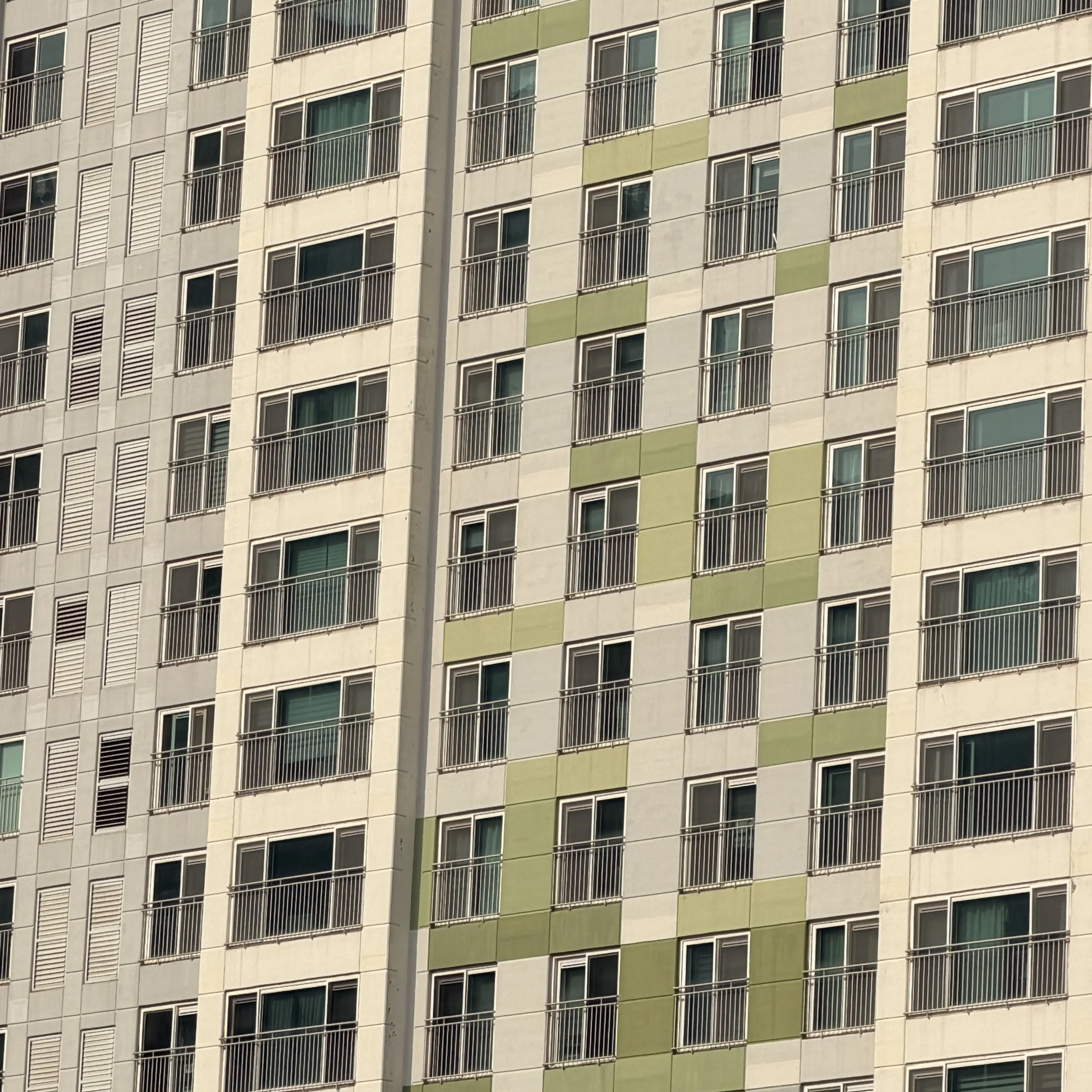 PrimalShoe0415의 몰루