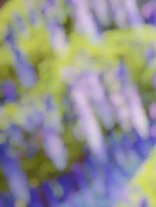 ipanjin의 メンケア担当