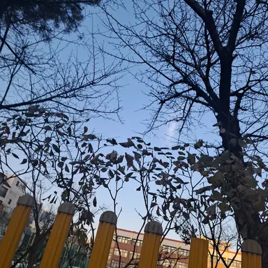 Profile image of 김 운 학