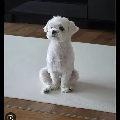 Profile image of 김지영