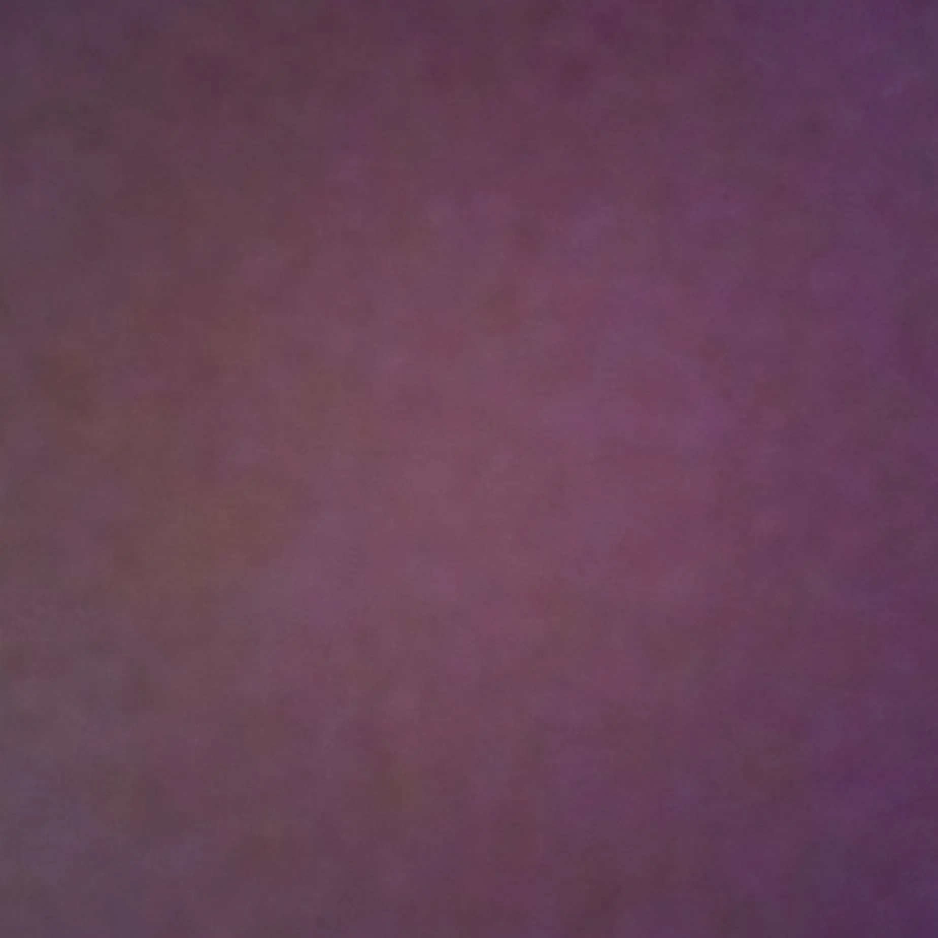 Dhdhh의 카와카미 린