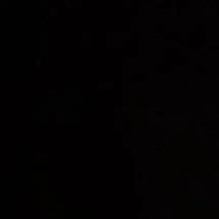 M_D.chdo2의 리 레볼루션