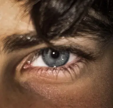 Profile image of Ryder