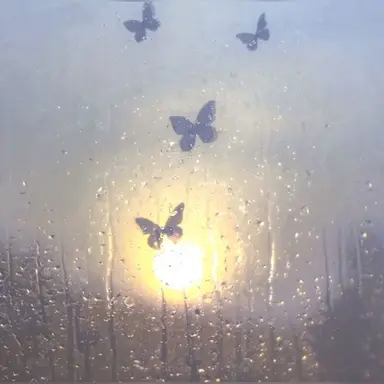 Profile image of 코쵸우 시노부