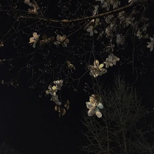 카이젠