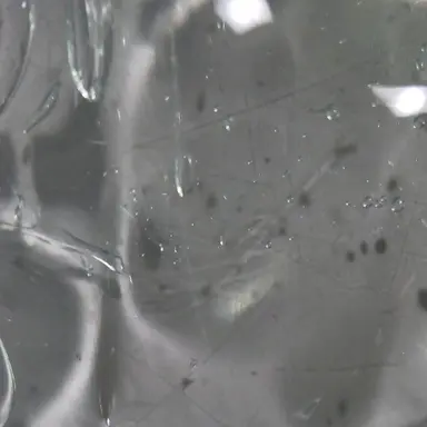 Profile image of 슬라임