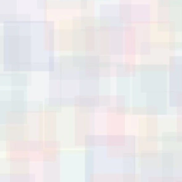 언니들