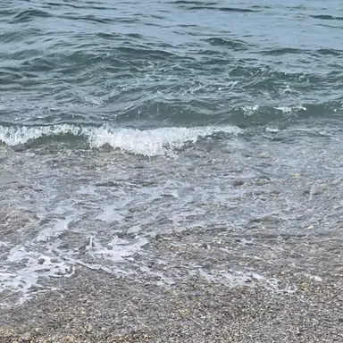 Profile image of 여우린