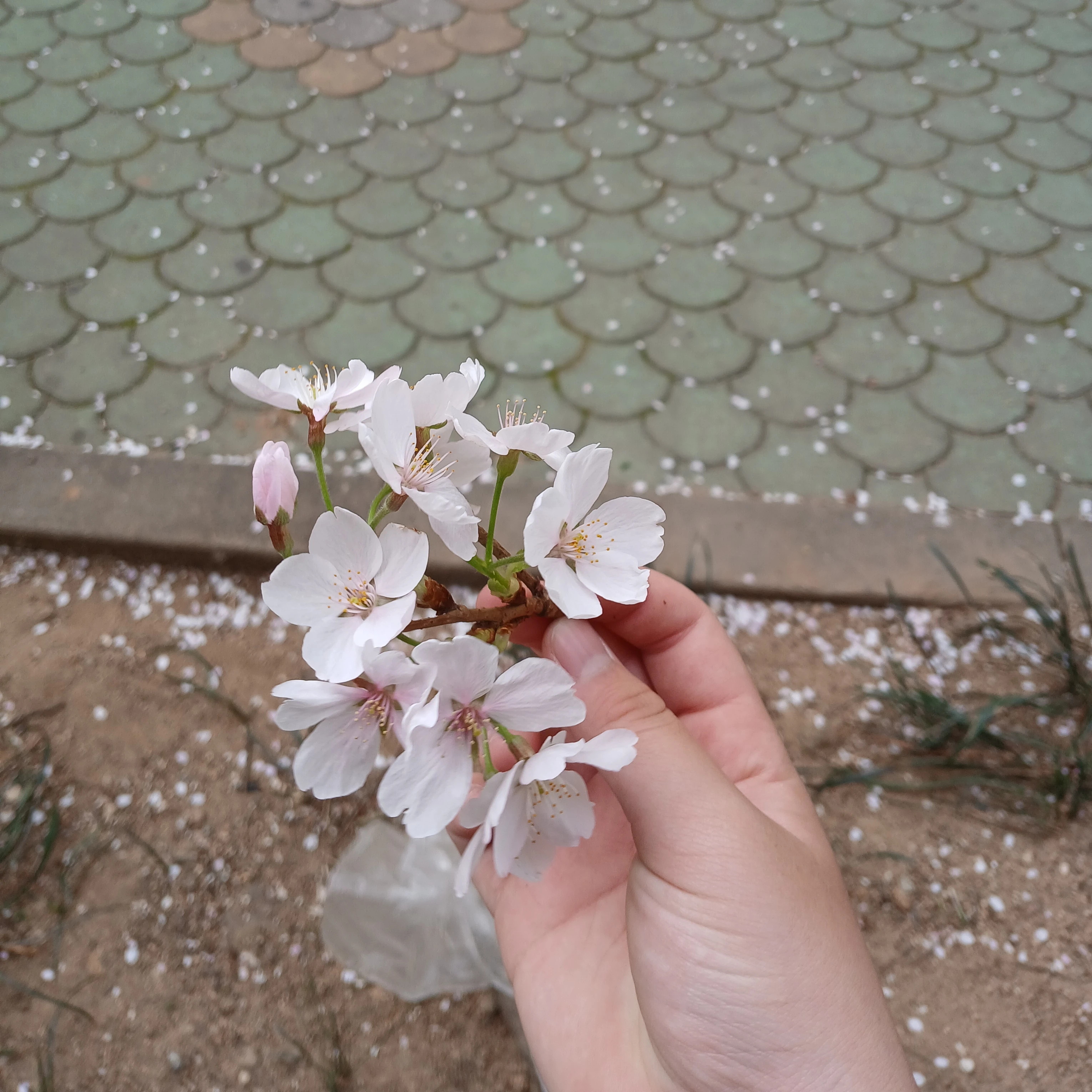 뮈친넘들 ㅋ