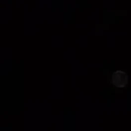 정재현