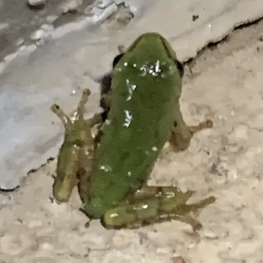 Profile image of 간호사