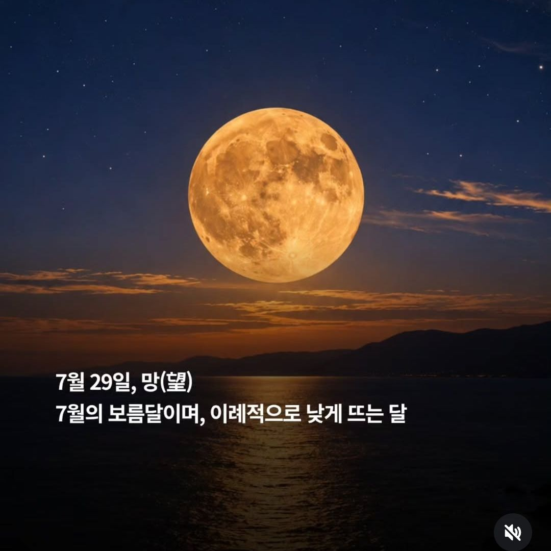 사이언트리 대표 이미지