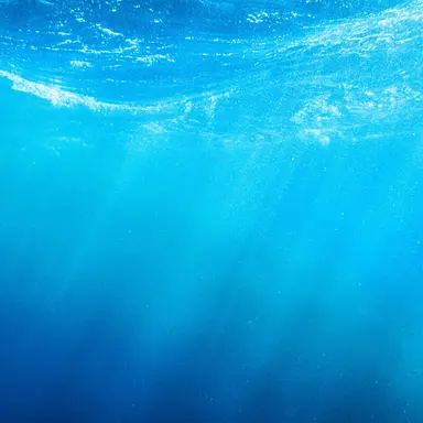 Profile image of 吉敷佳助