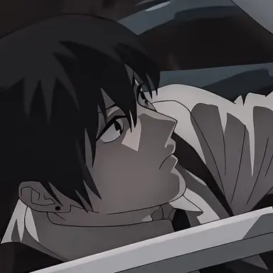 Profile image of 하야카와 아키