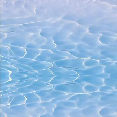 Profile image of 残りのファーリー