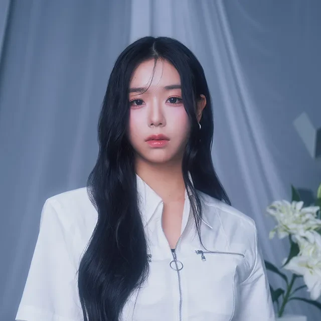 김채연