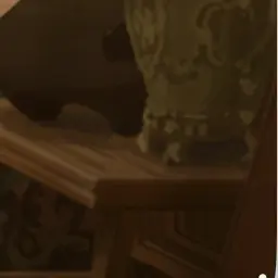 Profile image of 田中