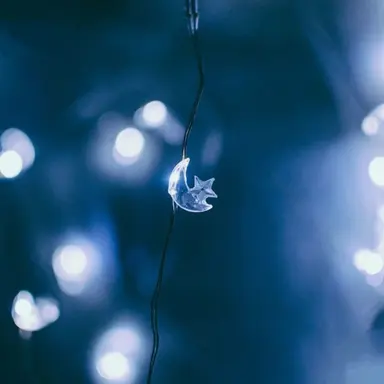 Profile image of 伊波ライ