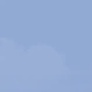 Profile image of Anything Goes